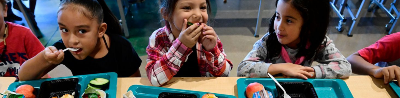 school-food-authority-colorado-charter-school-institute